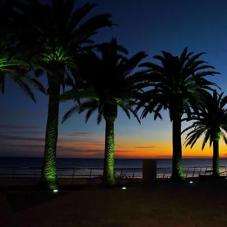 Ocean Terrace Apartman *